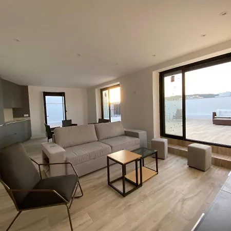 Aticos Concepcion Centro Apartment *